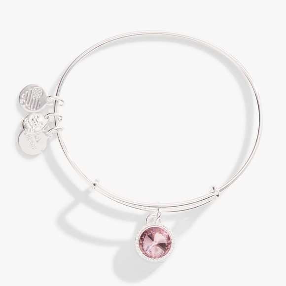 Alex and Ani Crystal Infusion Light Amethyst Silver Bangle - Picture 1 of 6